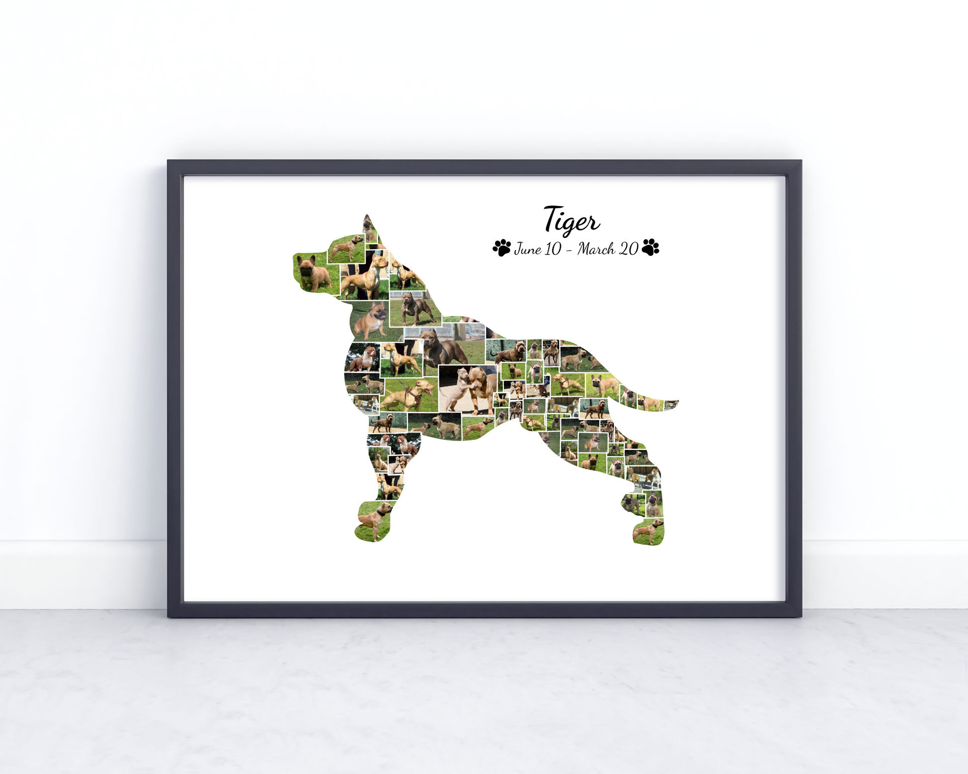 Personalized Pitbull Dog Wall Art - Custom Keepsake Featuring Your Pet's Photo and Name on Canvas or Poster.
