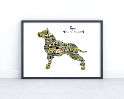 Personalized Pitbull Dog Wall Art - Custom Keepsake Featuring Your Pet's Photo and Name on Canvas or Poster.