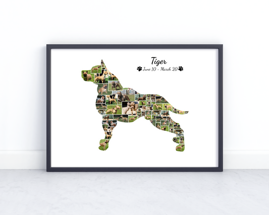Personalized Pitbull Dog Wall Art - Custom Keepsake Featuring Your Pet's Photo and Name on Canvas or Poster.