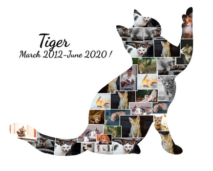 Custom Cat Photo Collage Gift - Cherish Your Feline Friend with Personalized Artwork
